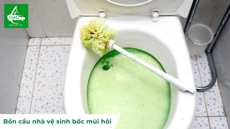 Bồn cầu nhà vệ sinh bốc mùi hôi