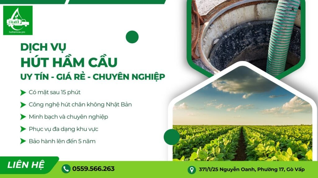 Dịch vụ hút hầm cầu uy tín tại TPHCM