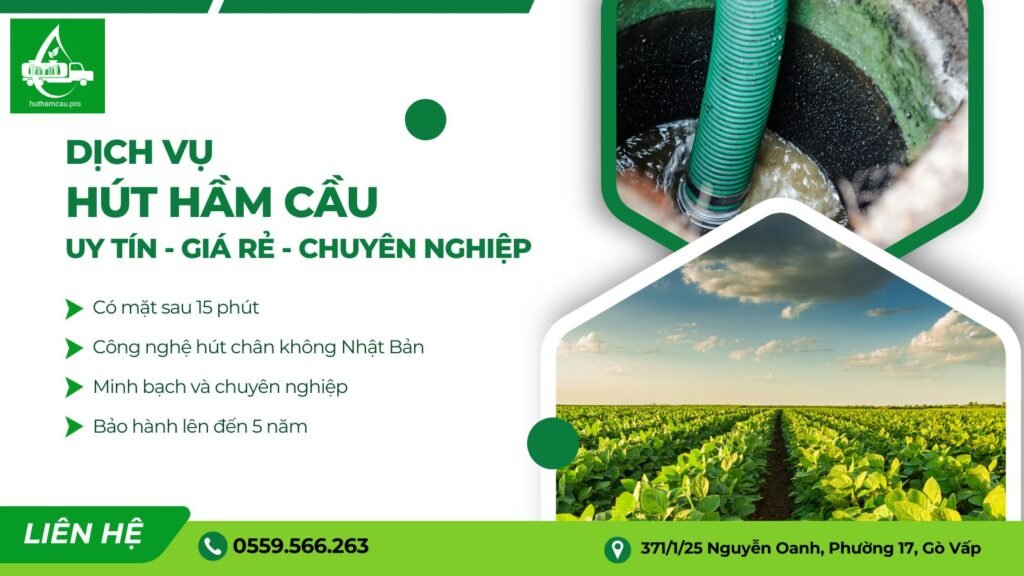 Dịch vụ hút hầm cầu uy tín tại TP HCM