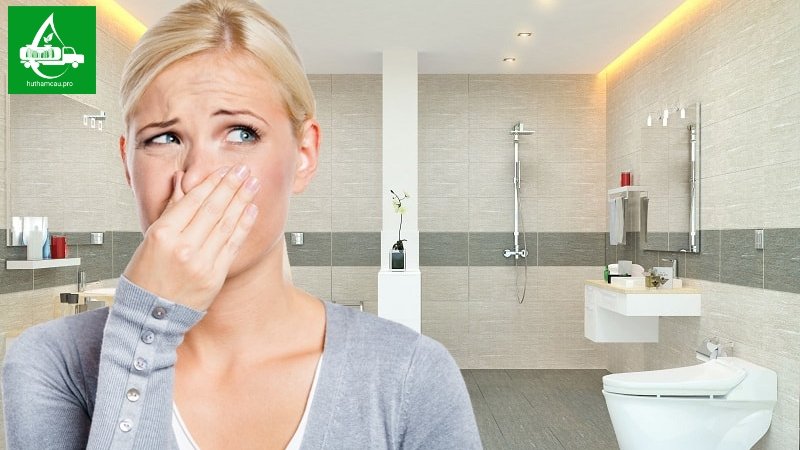 Mùi hôi từ nhà vệ sinh