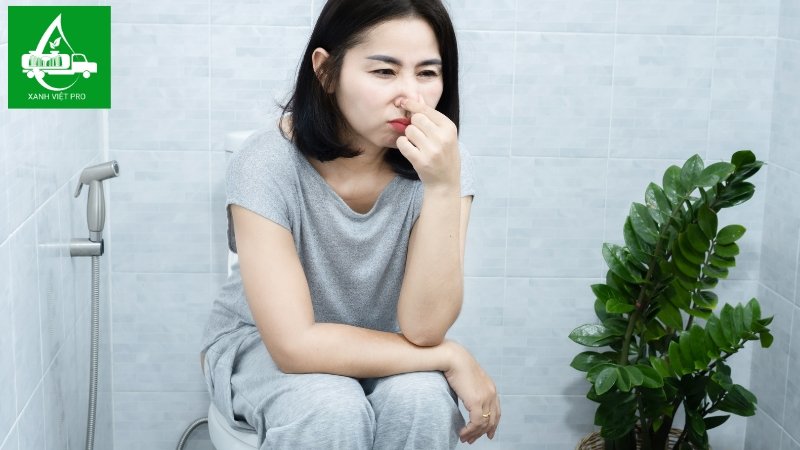 Mùi hôi từ nhà vệ sinh