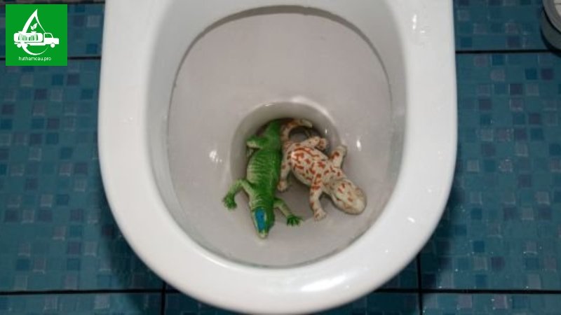 Rơi đồ vật vào bồn cầu