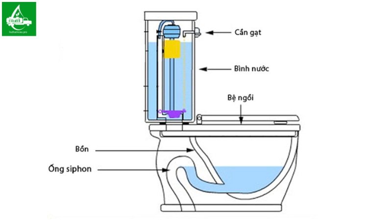 Đảm bảo con thỏ đầy nước