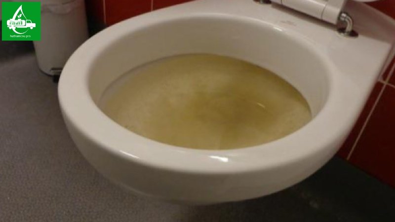 Bồn cầu không rút nước do hầm cầu đầy