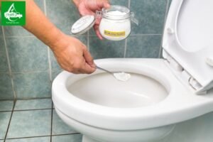 Hướng dẫn cách thông bồn cầu bằng baking soda